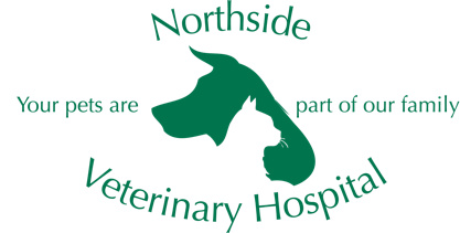 Northside Veterinary Hospital, PC